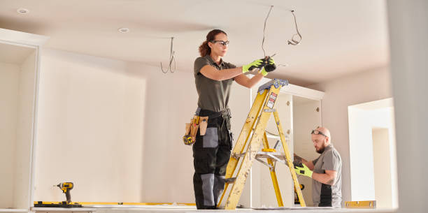 Best Electric Panel Repair  in Urbandale, IA